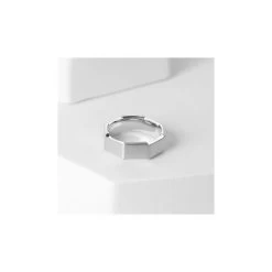 FAVS Herrenring -Modeaccessoires Geschäft 40006382 3