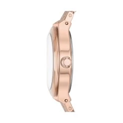 DKNY Damenuhr Parsons -Modeaccessoires Geschäft 88380908 2