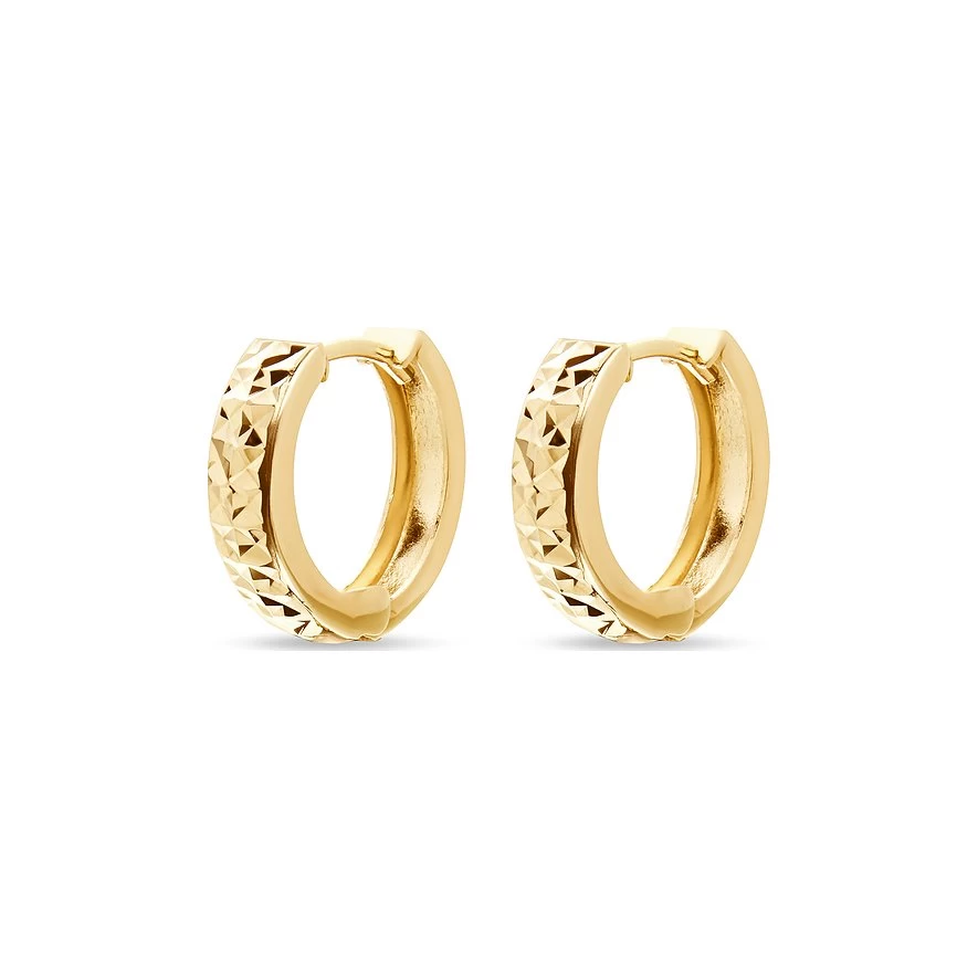 FAVS Creolen 1 FAVS Creolen