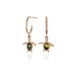 Paul Hewitt Creolen Turtle