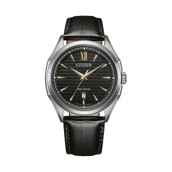 Citizen Herrenuhr Leder Eco Drive